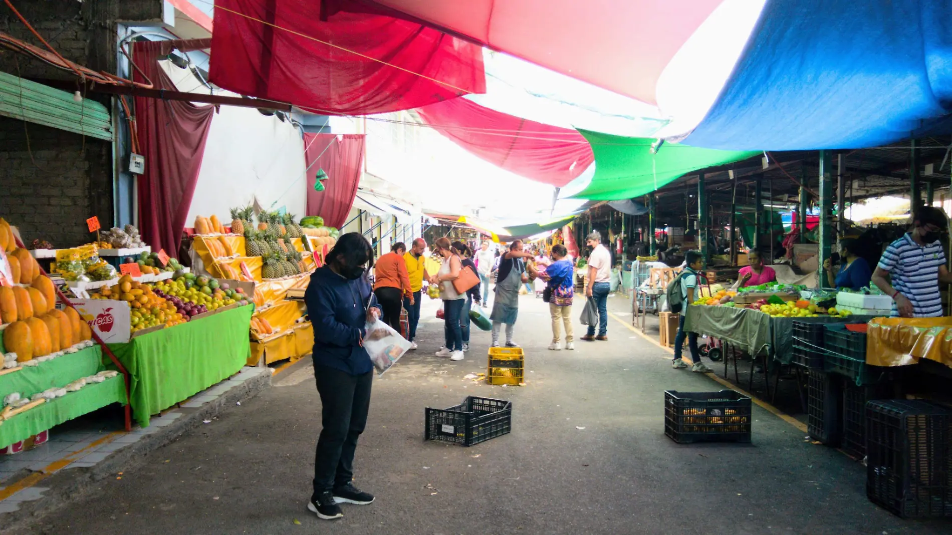 TIANGUIS DE LA ANTIGUA FERIA_AJO (5)